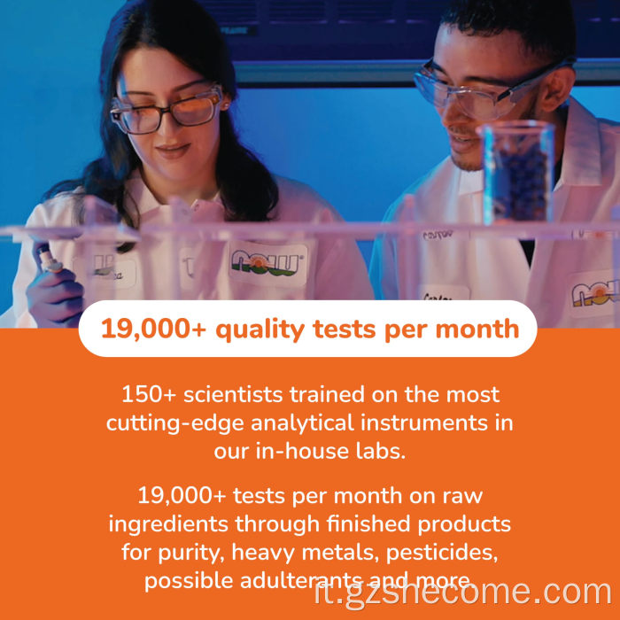 Hight Qualità NAC Supplement Support Health